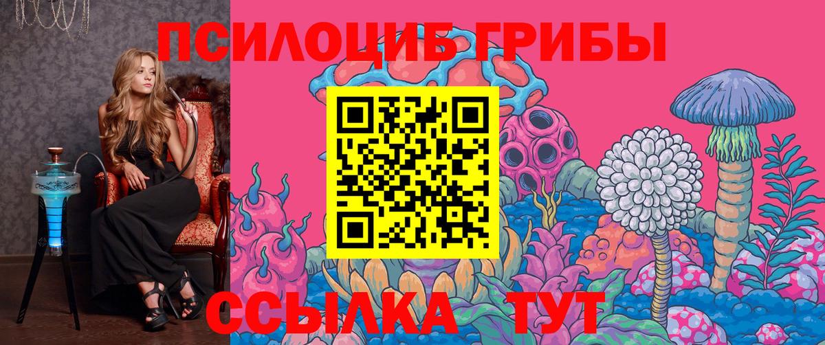 Псилоцибиновые грибы Psilocybine cubensis  Вход с VPN  Великий Новгород 